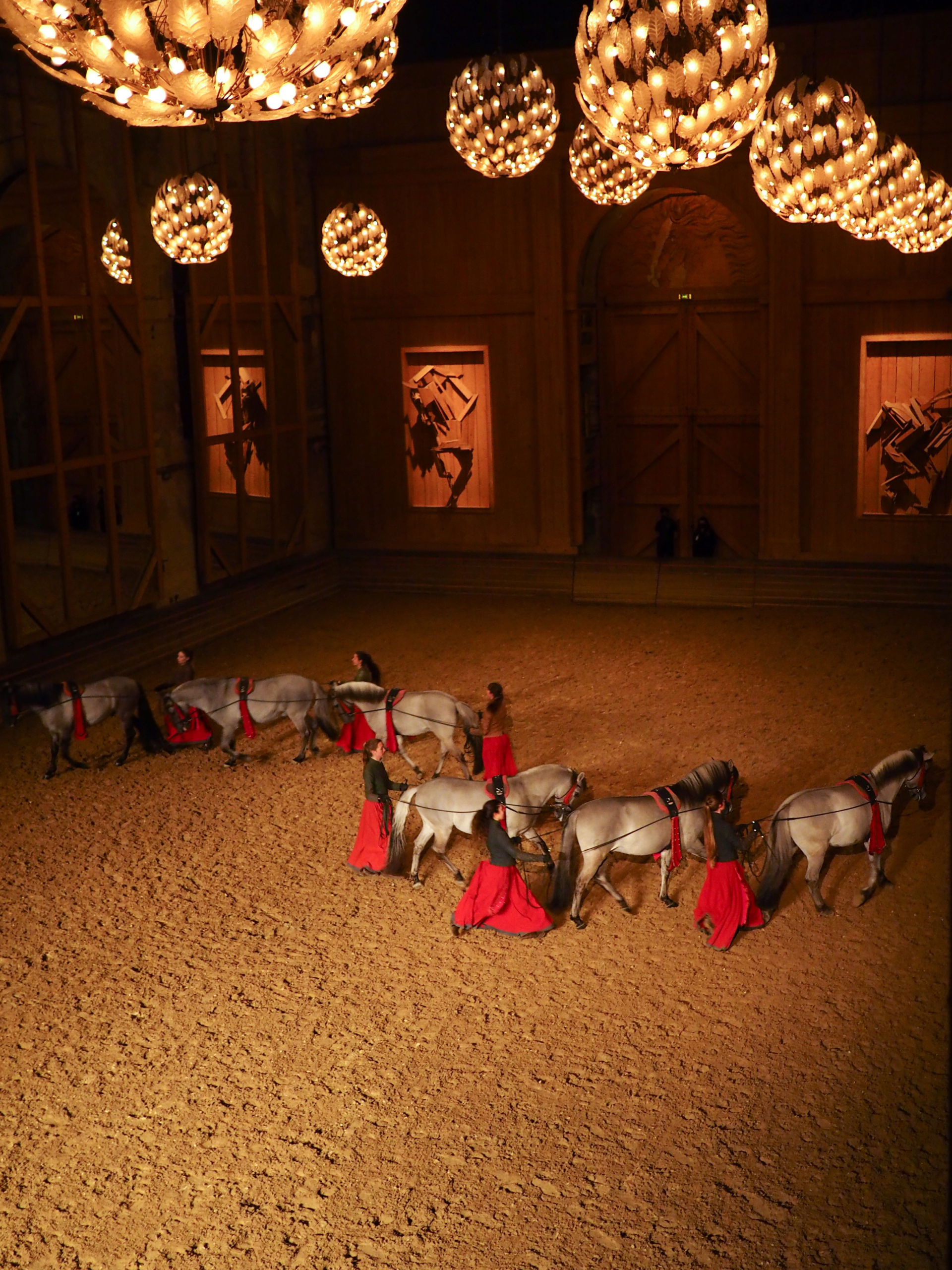 chevaux ecuyers manege spectacle corporate