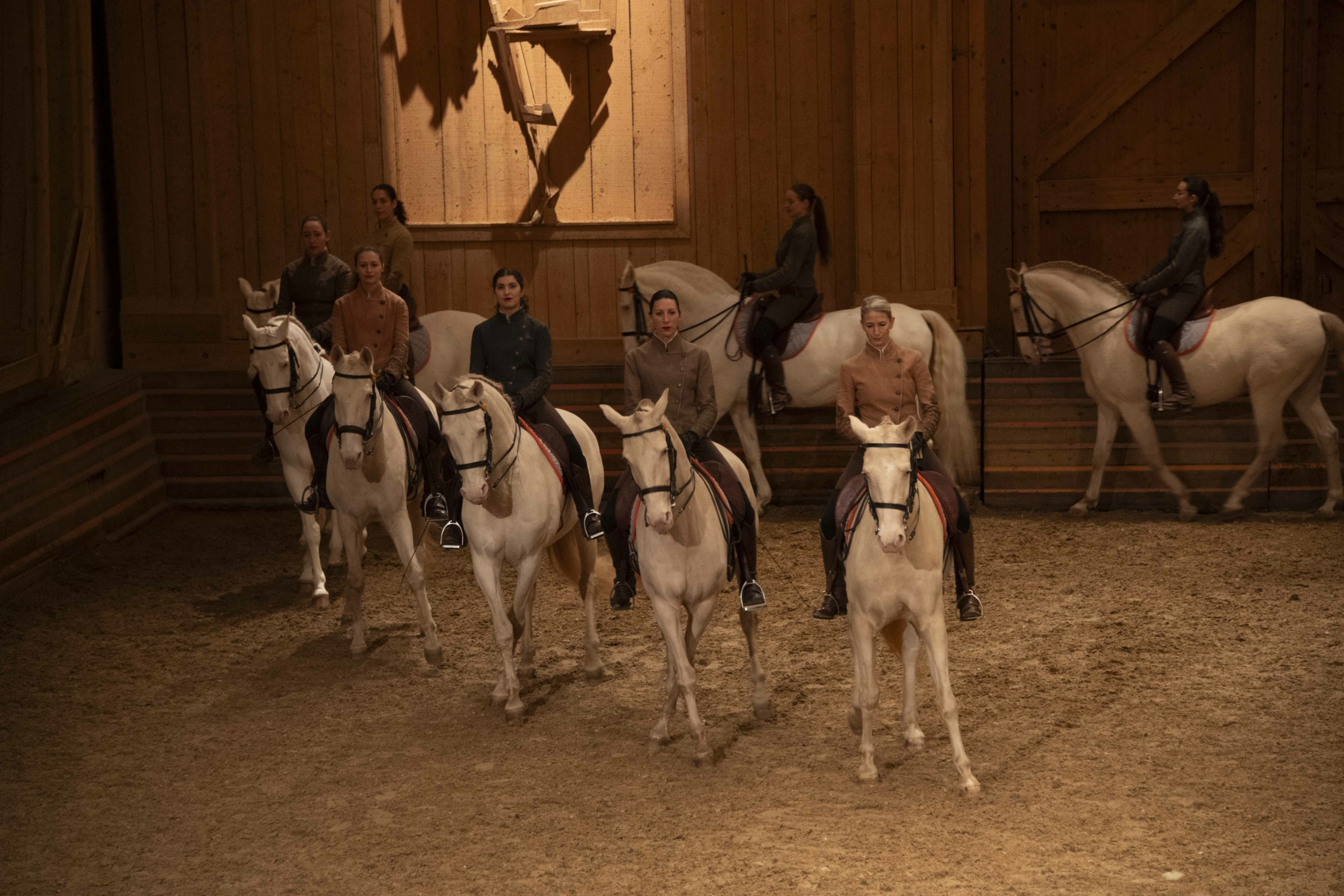 Manège de l'Académie Équestre de Versailles - Format spectacle Équestre "La voie de l'écuyère"