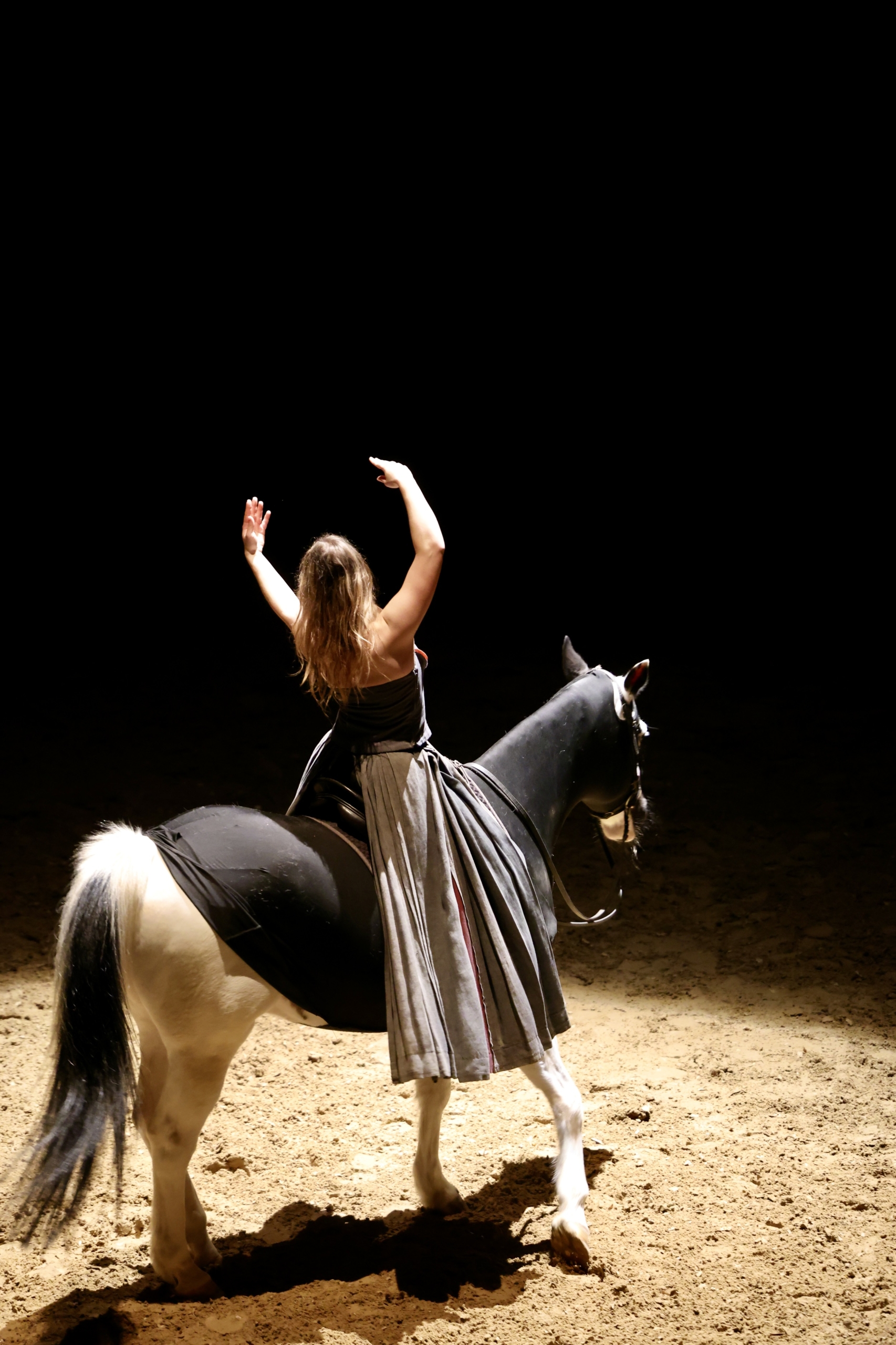 spectacle équestre privé bartabas academie versailles