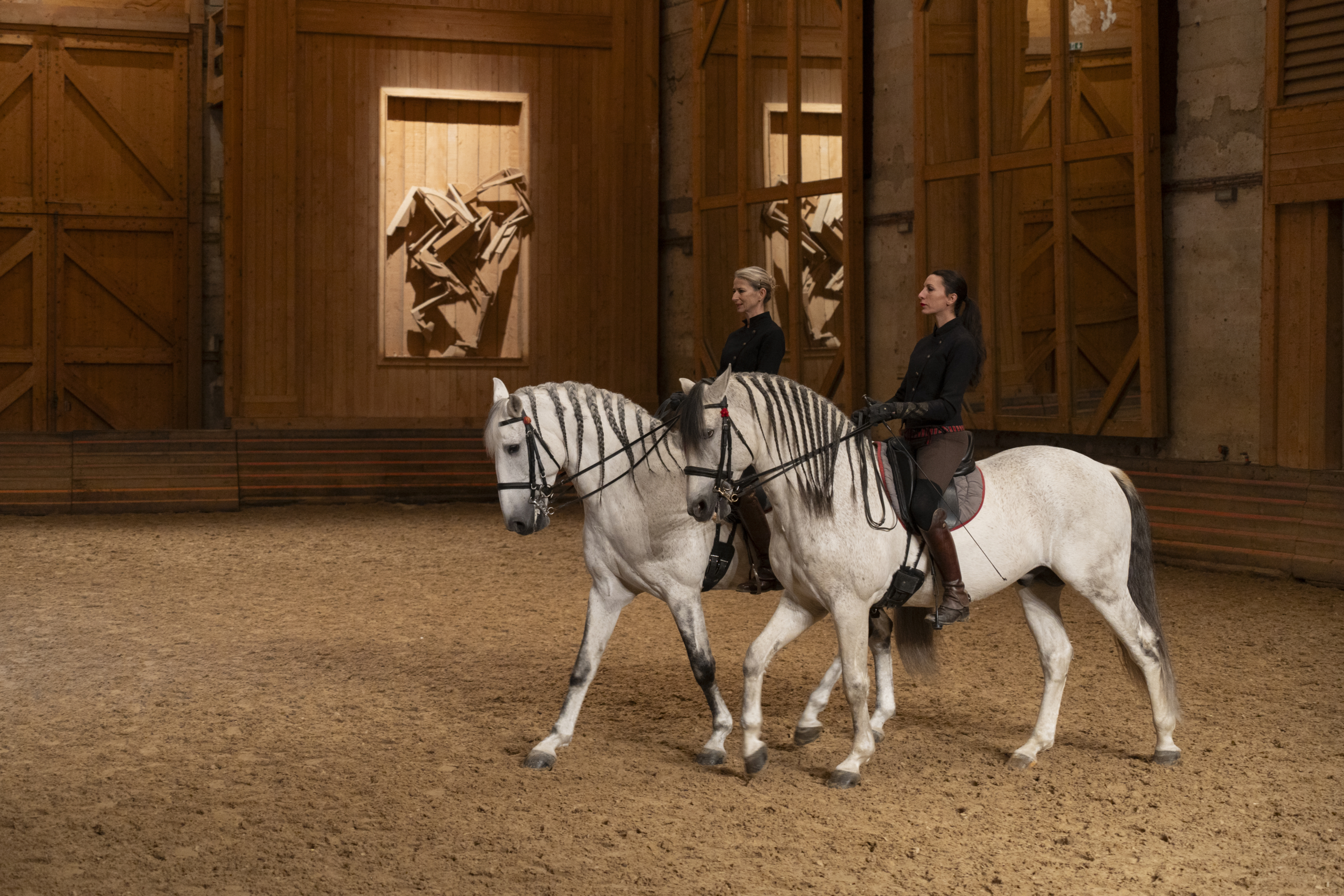 Manège de l'Académie Équestre de Versailles - Format spectacle Équestre "La voie de l'écuyère" avec des chevaux